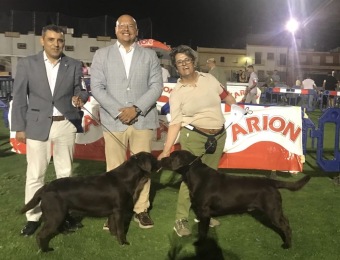 Excelente 1. ,mejor joven y mejor de raza__de_la_luna_del_capitan_