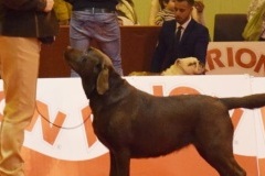 2018-03-04-OnaExc4DomingoSevilla
