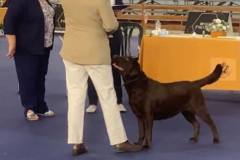 21_expo_granada_armilla_vicky
